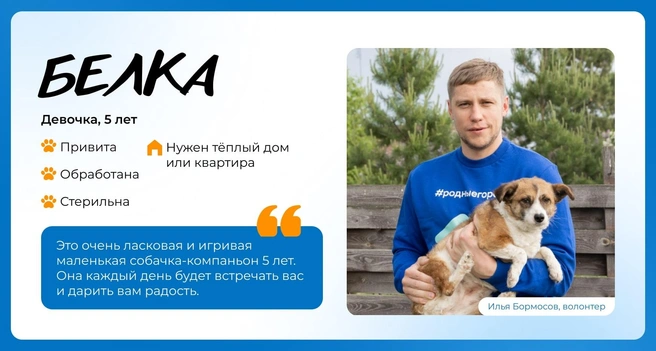 Источник: Василиса Молахова, Евгений Шаров