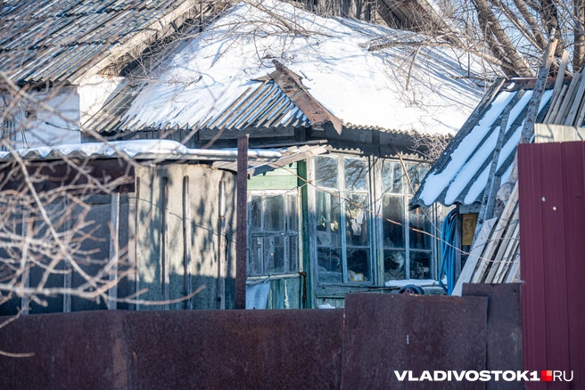 Источник: Елена Буйвол / VLADIVOSTOK1.RU