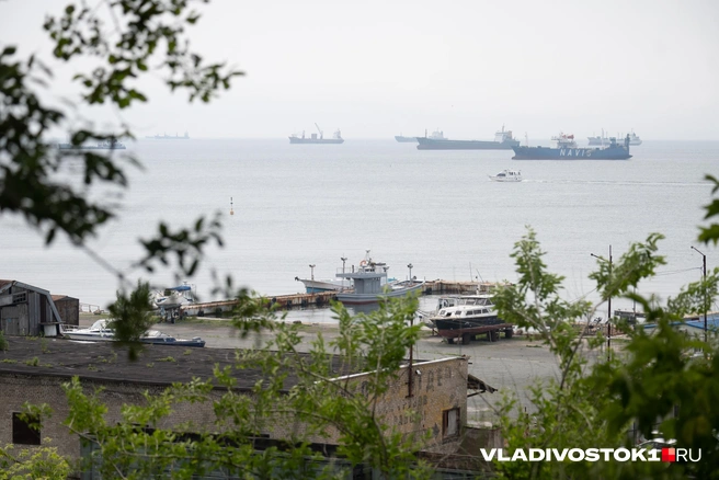 Источник: Елена Буйвол / VLADIVOSTOK1.RU