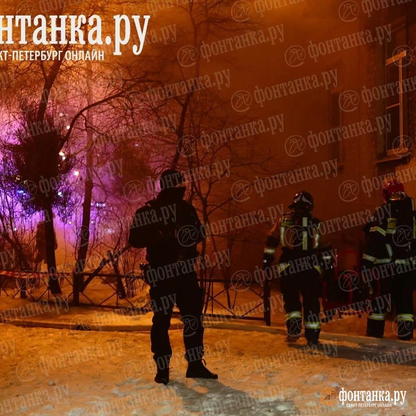 Источник: Дарья Драй / «Фонтанка.ру»