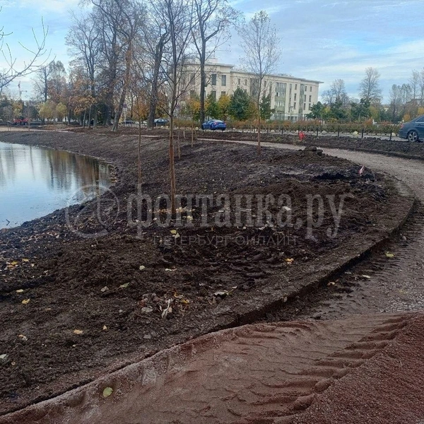 Источник: Ирина Корбат / FONTANKA.RU