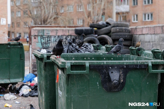 Мусора в феврале вывезли больше нормы | Источник: Мария Ленц / NGS24.RU