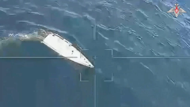 Обстоятельства атаки неизвестны | Источник: Минобороны России / T.me