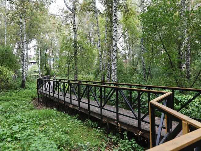 В парке сохранили уникальный природный ландшафт, но парящие дорожки обнесли забором | Источник: Александр Ощепков / NGS.RU