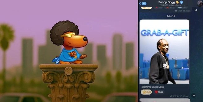 Дуров рассказал, сколько заработал Telegram на подарках от Snoop Dogg | Источник: кадр из клипа