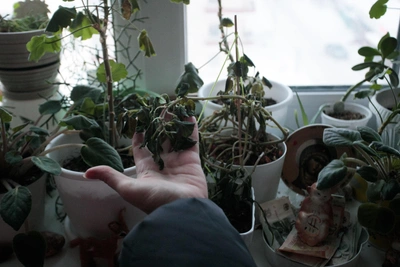 Novosibirsk explains why apartments dropped below 10°C during freeze