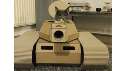 Коты в картонных танках (21 фотография)