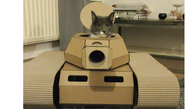 Коты в картонных танках (21 фотография)