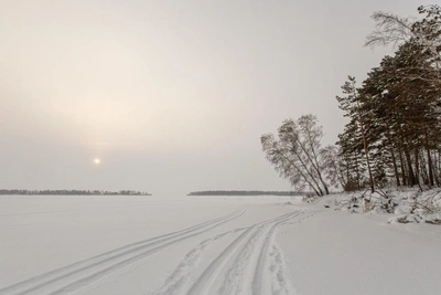 Authorities Warn Not to Approach Missing 11-Year-Old Boy in Novosibirsk