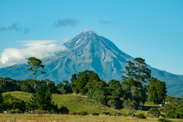 Вулканы, квартиры от ₽17 млн и авокадо во дворе: рассказ россиянки о переезде в Новую Зеландию