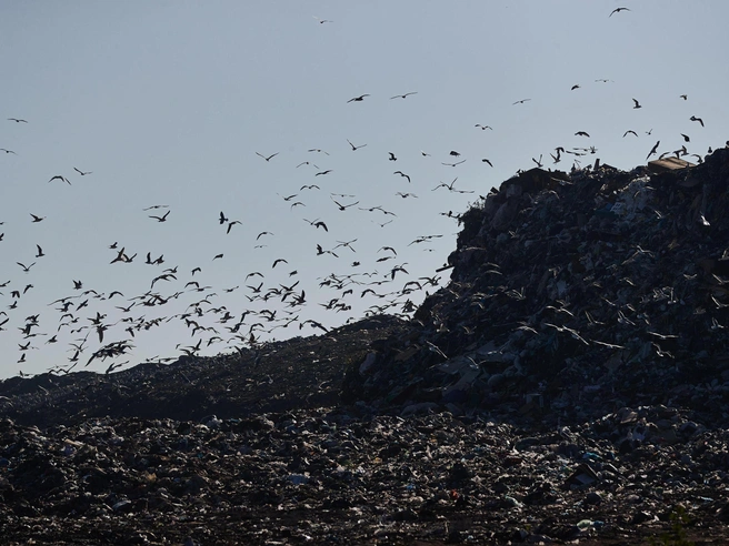 Проектная документация по нескольким полигонам находится на стадии государственной проверки | Источник: Александр Ощепков / NGS.RU