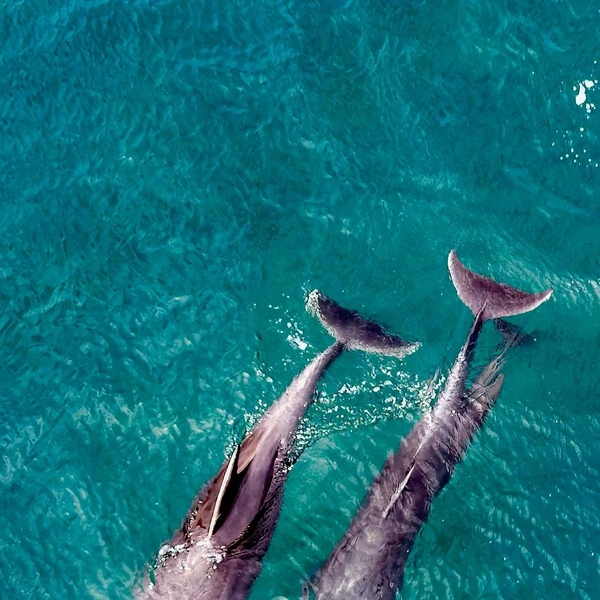 Источник: Andrea Izzotti/Shutterstock/Fotodom.ru