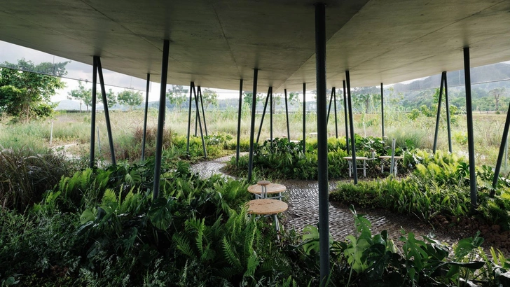 Источник: CHEN HAO/WWW.CHENHAO.STUDIO