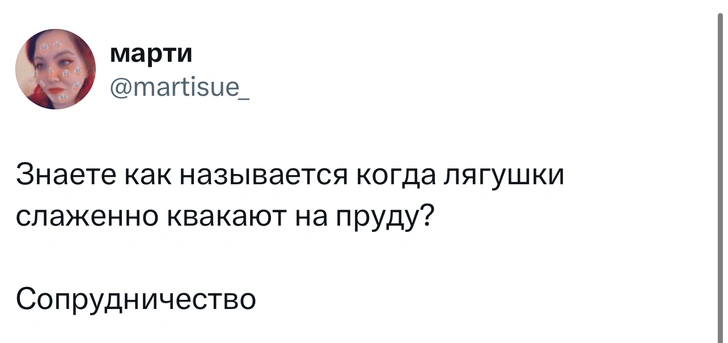 Источник: X (Twitter)