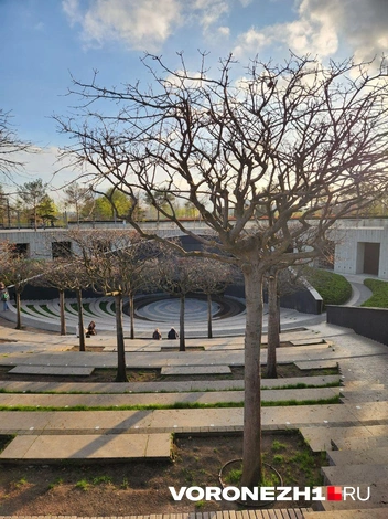 Источник: Ирина Булгакова / Voronezh1.ru