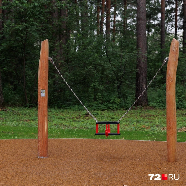 Источник: Ирина Шарова / 72.RU 