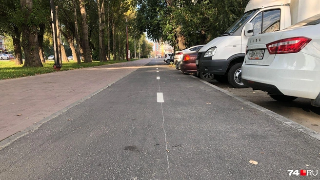 Велодорожки в городе нужны из-за распространения моторизованных байков и самокатов (СИМов) | Источник: Артем Краснов