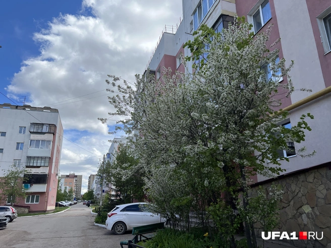 А, мы уже показали, поздно | Источник: Андрей Бирюков / UFA1.RU