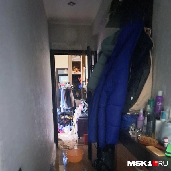 Источник: Арина Майорова / MSK1.RU
