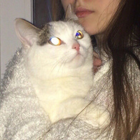 Аватарка girlboss account