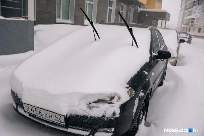 Источник: Максим Серков / NGS42.RU