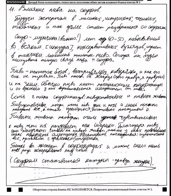 «Пиво — напиток богов»: зачем школьник посвятил итоговое сочинение влиянию алкоголя на скуфов