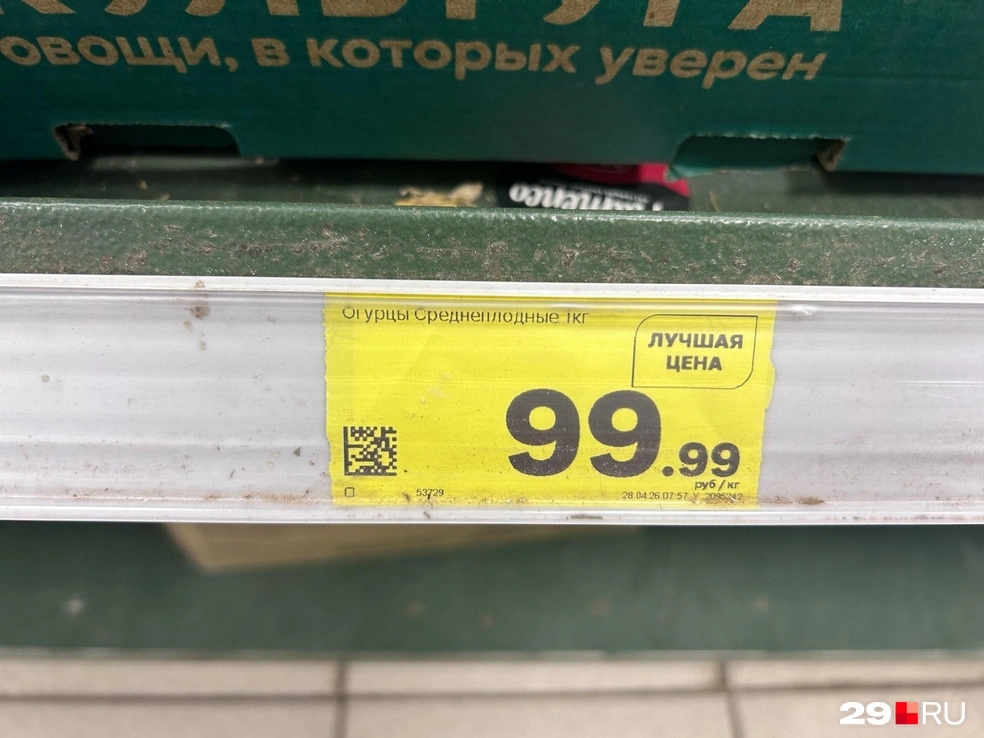 Источник: Кристина Полевая / 29.RU