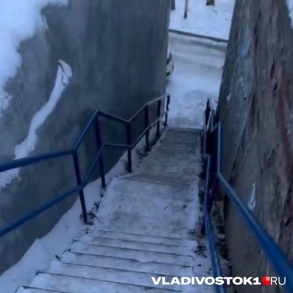 Источник: Елена Буйвол / VLADIVOSTOK1.RU