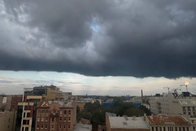 МЧС предупреждает о грозе в Петербурге