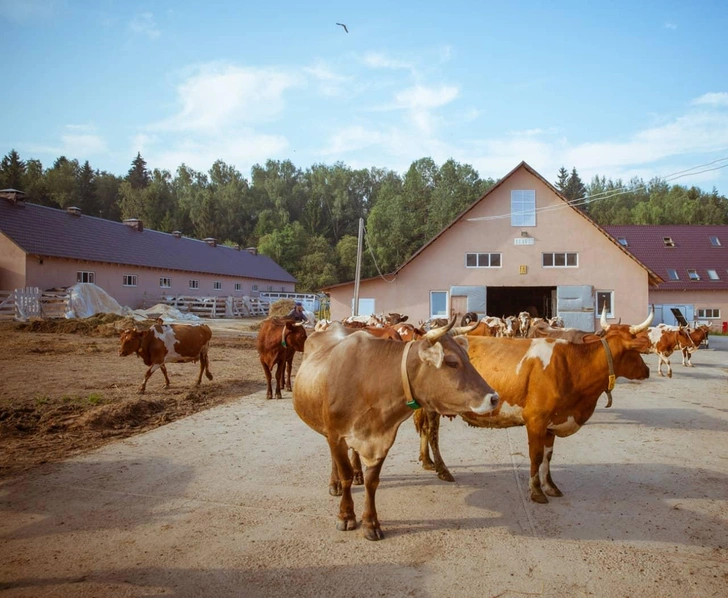 Источник: hutor-metel.ru