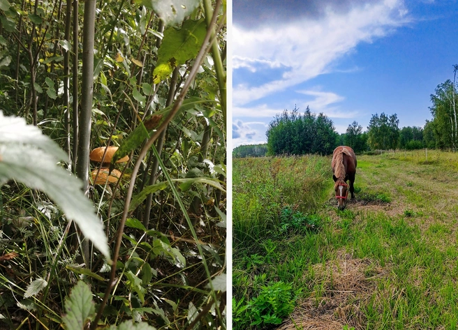 Девушка любит фотографировать природу | Источник: Милена Пономарева