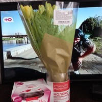 Аватарка valeeva_1995