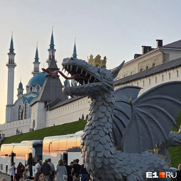 Источник: читатель E1.RU