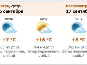 Источник: скриншот с meteo.nw.ru