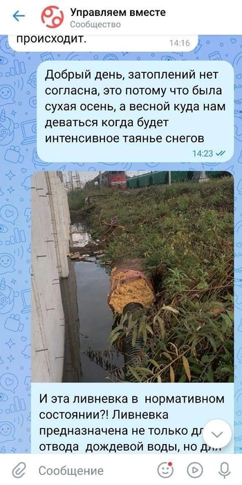 Еще одно обращение в «Управляем вместе» — пермячка пишет, что огород и улицы тогда не затопило только из-за ноябрьских заморозков | Источник: Ирина Коротких