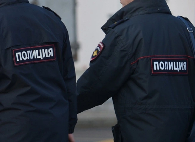Рязанские полицейские задержали группу серийных воров | ya62.ru