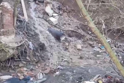 Загрязнение Безымянного ручья нечистотами: позиция Минприроды