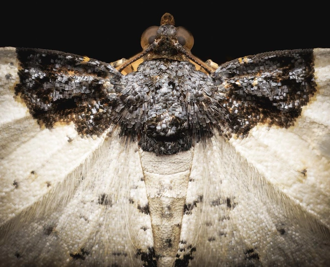 Источник: Lars Roed /&nbsp;Fine Art Photography Awards 2026