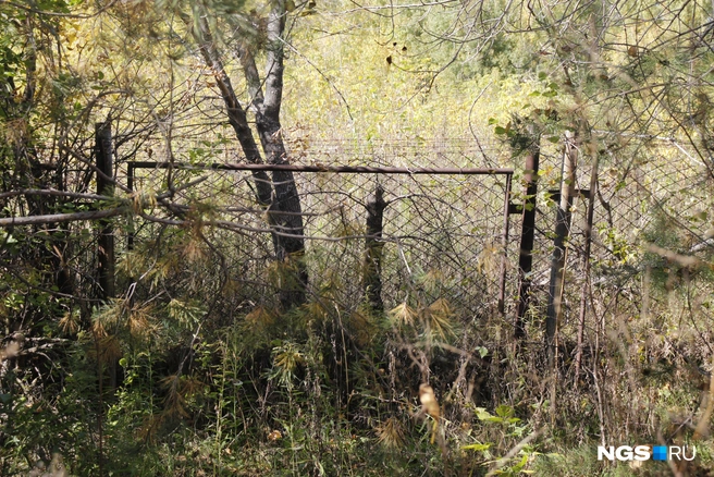 Ограда неизвестного назначения  | Источник: Стас Соколов/NGS.RU