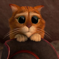 Аватарка 123456789