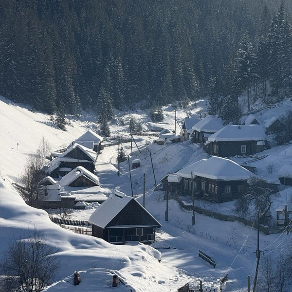 А это сам Кын | Источник: Максим Кудряшов