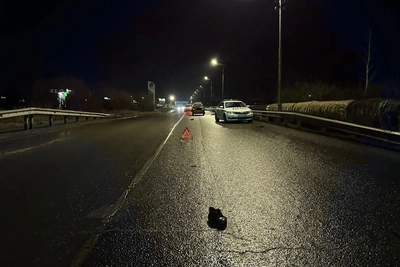 В Кургане водитель сбил пешехода на Мостостроителей