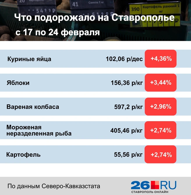 Статистика цен на продукты | Источник: Дарья Гранкина / 26.RU