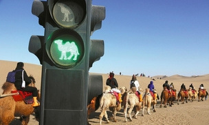 В Китае появились специальные светофоры для верблюдов: зачем они нужны посреди пустыни?
