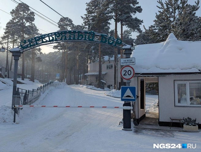 Сургутянка вывела подростка с территории Серебряного бора | Источник: NGS24.RU