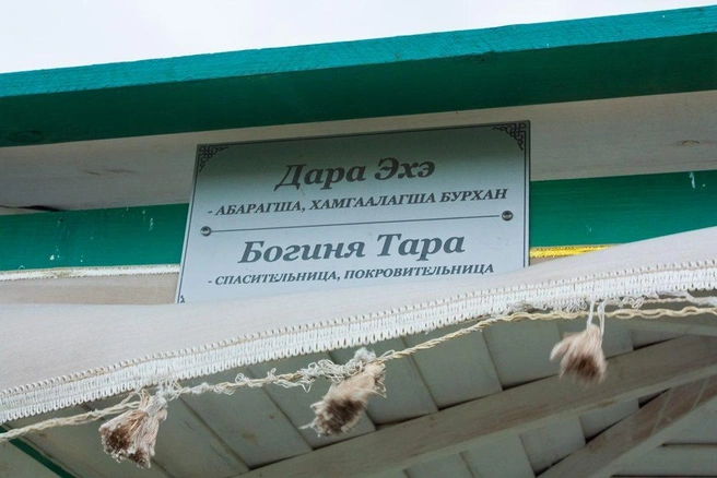 Источник: Ксения Зимина