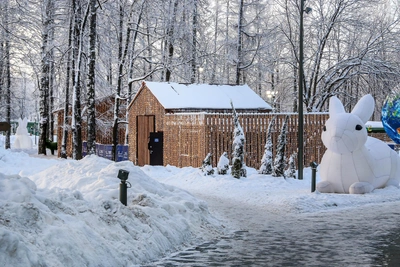 Каток в парке «Швейцария» завершит работу 9 марта