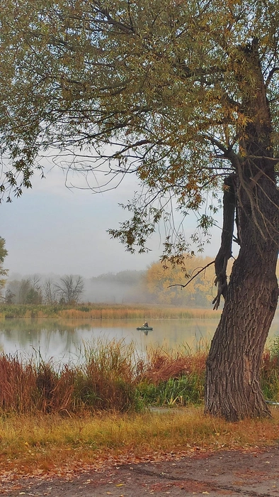В водоеме обитает много хищных особей, в том числе щука | Источник: Ирина Голоколенова
