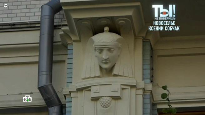 Источник: кадр из программы «Ты не поверишь!» (16+), НТВ, 2025 год