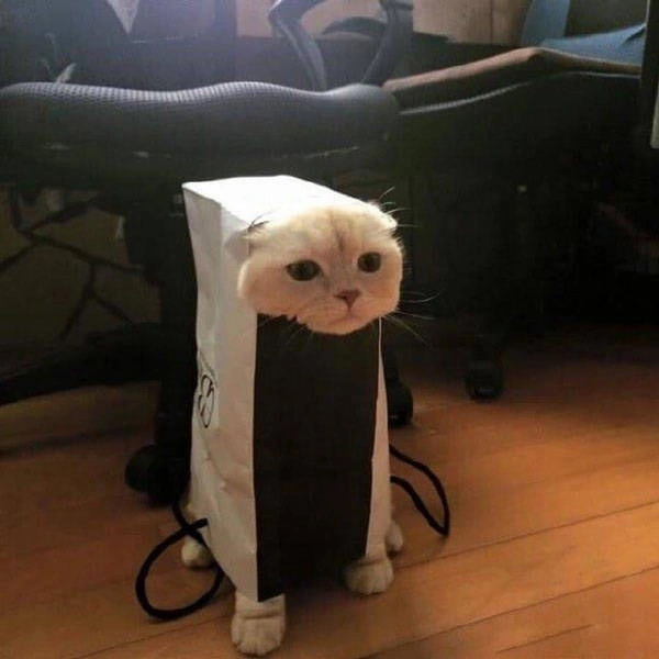 Источник: Соцсети